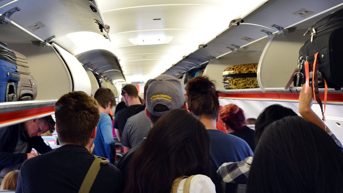 Flight attendant reveals what ‘aisle lice’ really is – and how to avoid it