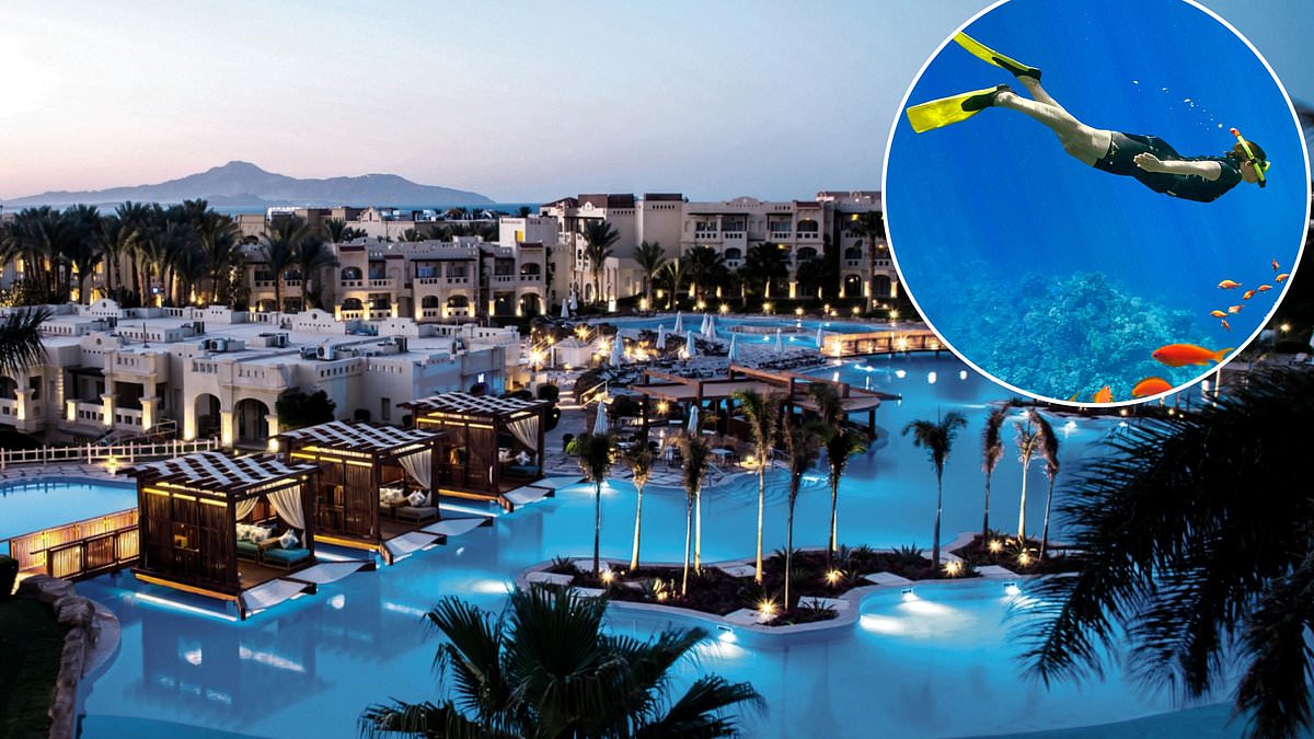 Hearty hospitality, warming sands and fragrant air too good for just one visit… The charm of Sharm