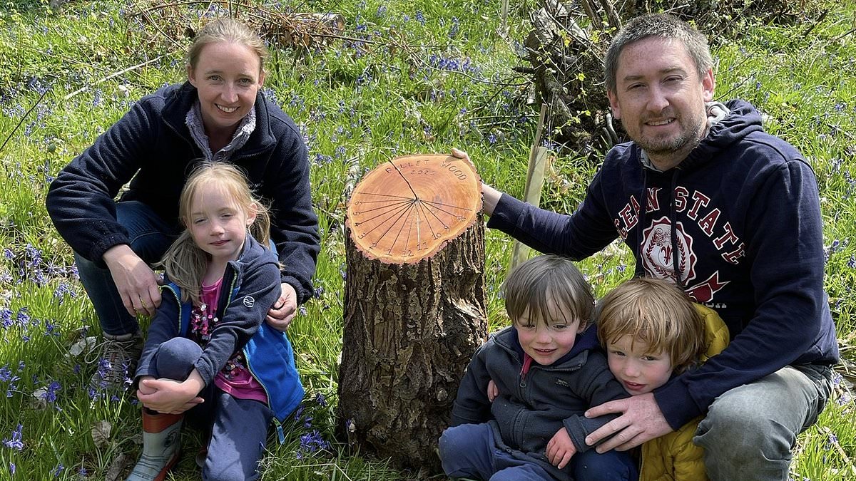 Family who bought an English woodland for £45,000 reveal why it’s been ‘a terrible investment’
