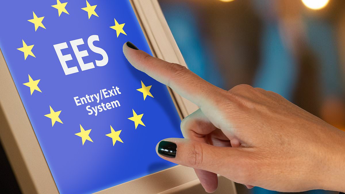 The EU’s new border rules have brought chaos – and I’m fearing for our summer holidays