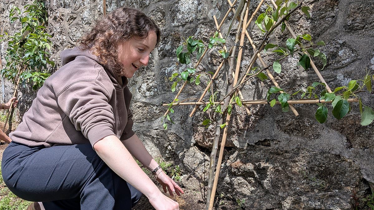 Inside England’s best large hotel – and the foraging experience that ends with a luxury feast (without picking any deadly plants)